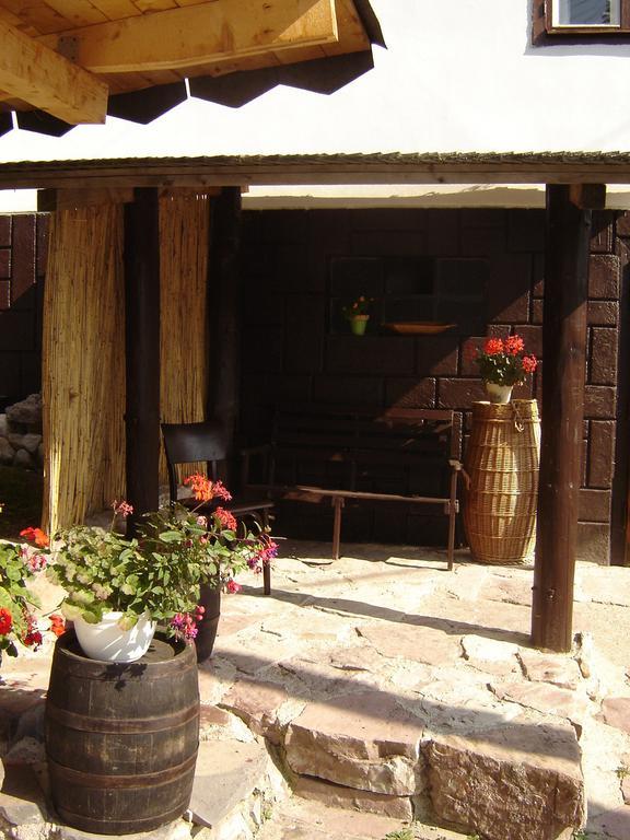 Drevenica Spanka Špania Dolina Cameră foto